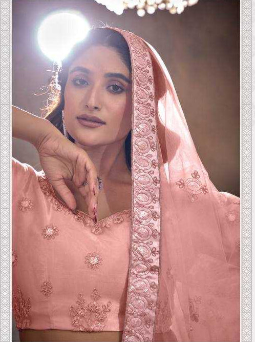 Butterfly Net Embroidered Lehenga Choli for Elegant Style