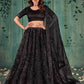 Embroidered Lehenga Net Lehenga Choli for Elegant Occasions - MYLUXURY LANE ENTERPRISE