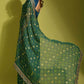 Chiffon Embroidered Lace Border Saree - MYLUXURY LANE ENTERPRISE