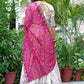 Chinon Embroidered Lehenga - MYLUXURY LANE ENTERPRISE
