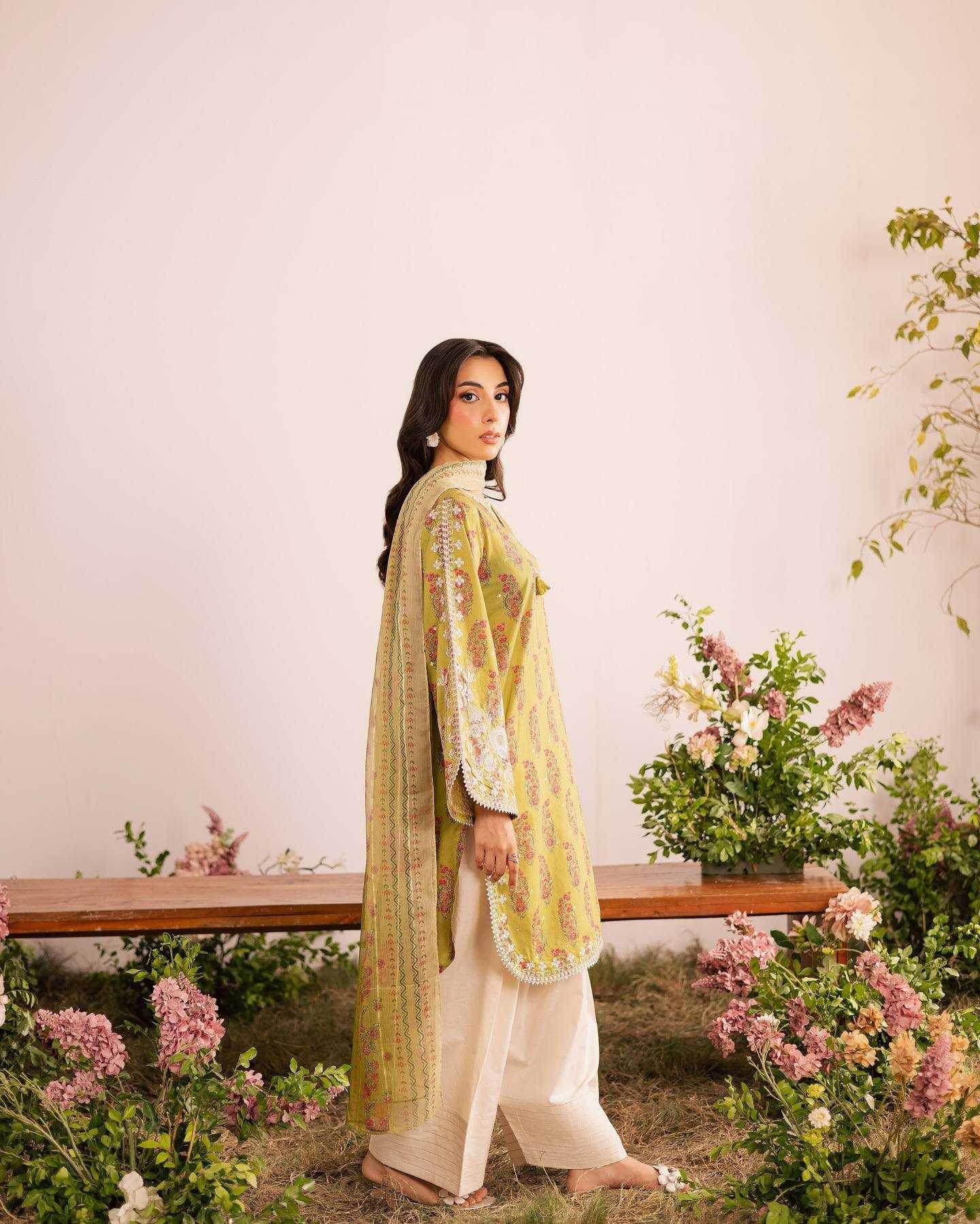 Kashmiri Printed Embroidery Suit - MYLUXURY LANE ENTERPRISE