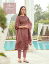 Designer Suits