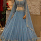Elegant Net Sequins Lehenga for Festive Occasions - MYLUXURY LANE ENTERPRISE