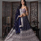 Elegant Bridal Designer Lehenga Choli for Special Day - MYLUXURY LANE ENTERPRISE