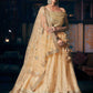 Heavy Silk Designer Lehenga Choli - MYLUXURY LANE ENTERPRISE