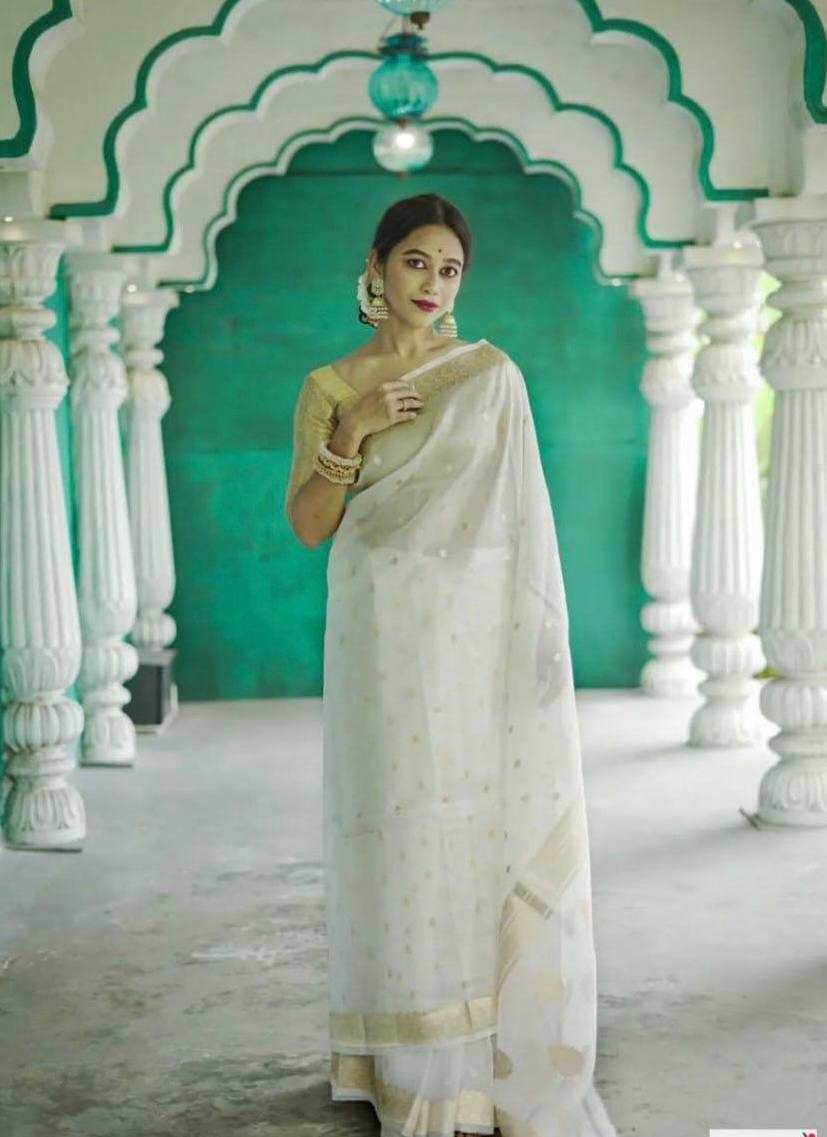 Linen Jacquard Saree - MYLUXURY LANE ENTERPRISE