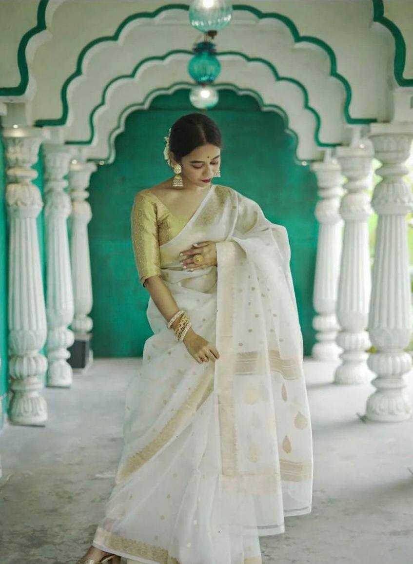 Linen Jacquard Saree - MYLUXURY LANE ENTERPRISE