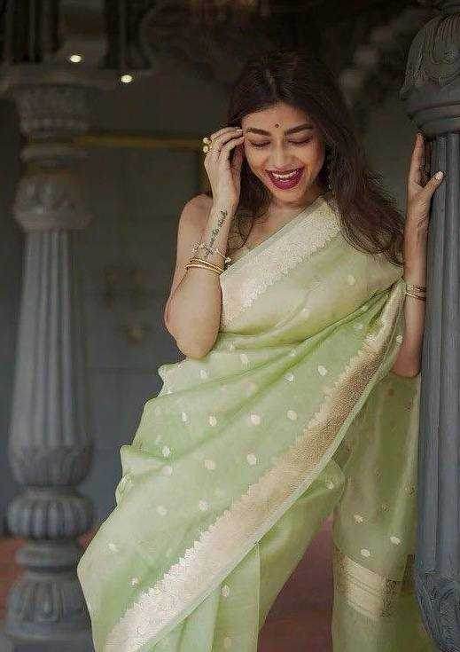Linen Jacquard Saree - MYLUXURY LANE ENTERPRISE