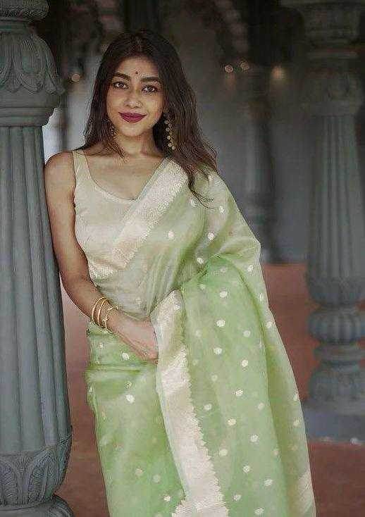 Linen Jacquard Saree - MYLUXURY LANE ENTERPRISE