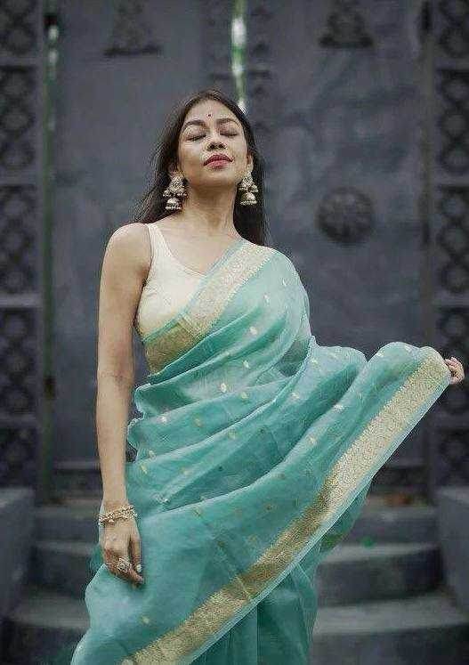 Linen Jacquard Saree - MYLUXURY LANE ENTERPRISE
