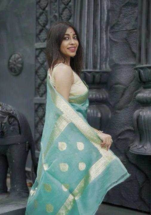 Linen Jacquard Saree - MYLUXURY LANE ENTERPRISE