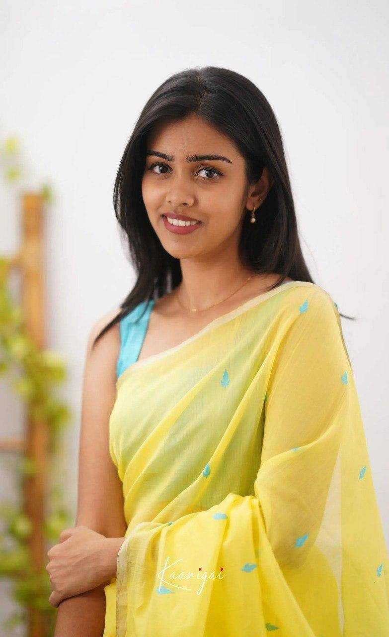 Linen  Designer  Printed Saree