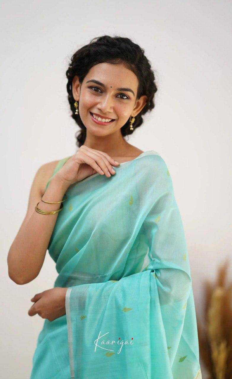 Linen  Designer  Printed Saree