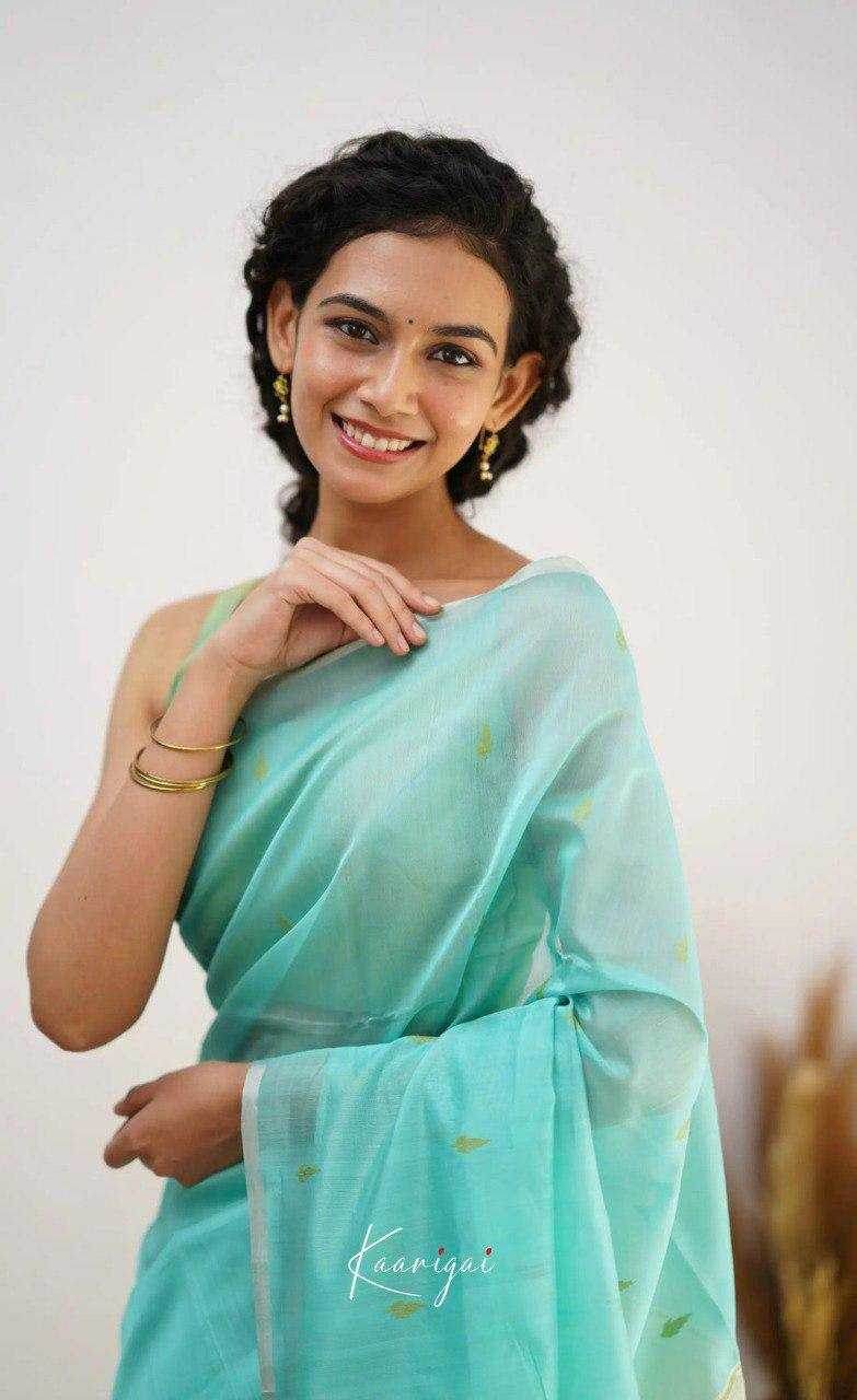 Linen Designer Printed Saree - MYLUXURY LANE ENTERPRISE