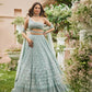 Net Designer Embroidered Lehenga - MYLUXURY LANE ENTERPRISE