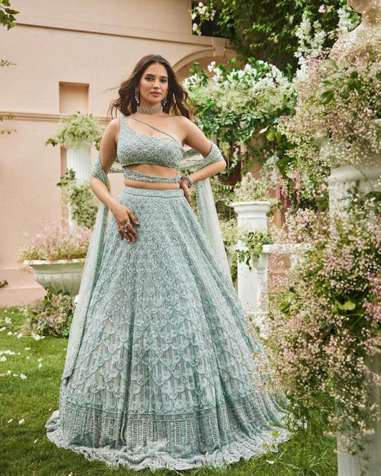 Net Designer  Embroidered Lehenga