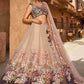 Elegant Net Designer Lehenga for Special Occasions - MYLUXURY LANE ENTERPRISE