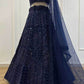 Net Embroidered Lehenga - MYLUXURY LANE ENTERPRISE