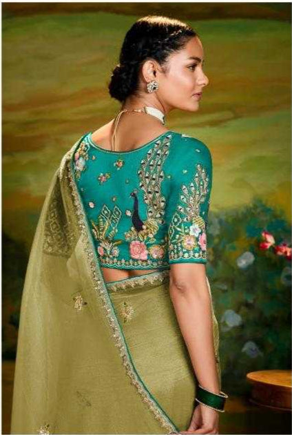 Woman wearing a green saree with a matching blouse, standing in front of a scenic background.