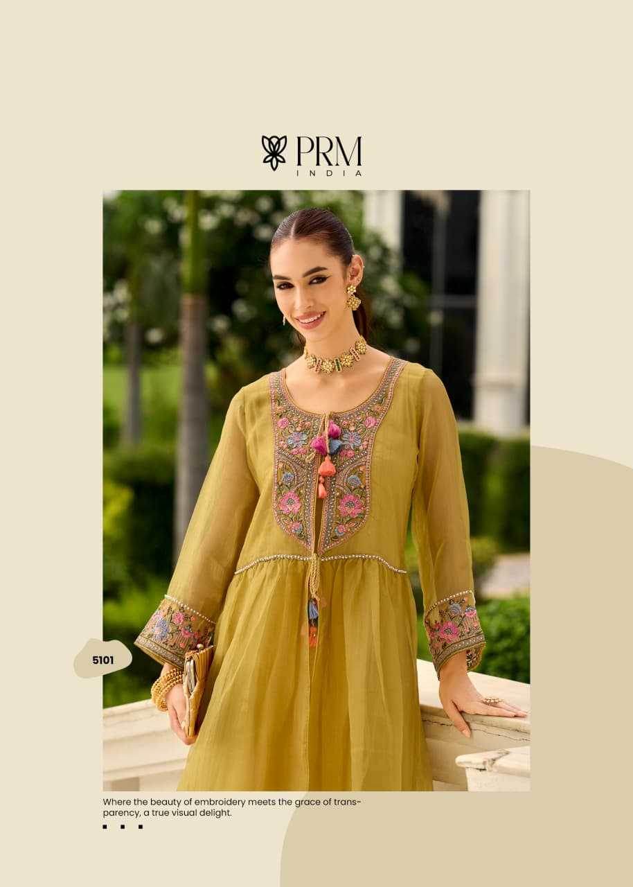Organza Embroidered Handloom Suit - MYLUXURY LANE ENTERPRISE