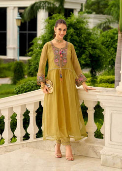 Organza Embroidered Handloom Suit - MYLUXURY LANE ENTERPRISE