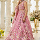 Organza  Embroidered  Lehenga Choli Wedding Outfit