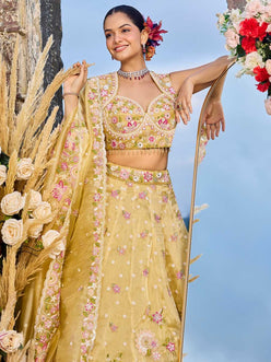 Organza  Embroidered  Lehenga Choli Wedding Outfit