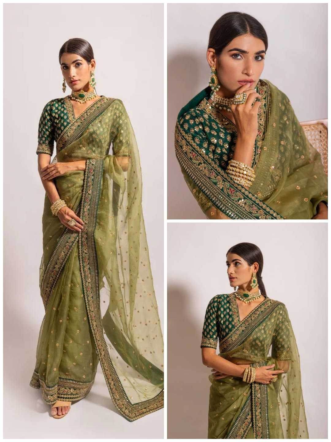 Organza Embroidered Saree - MYLUXURY LANE ENTERPRISE