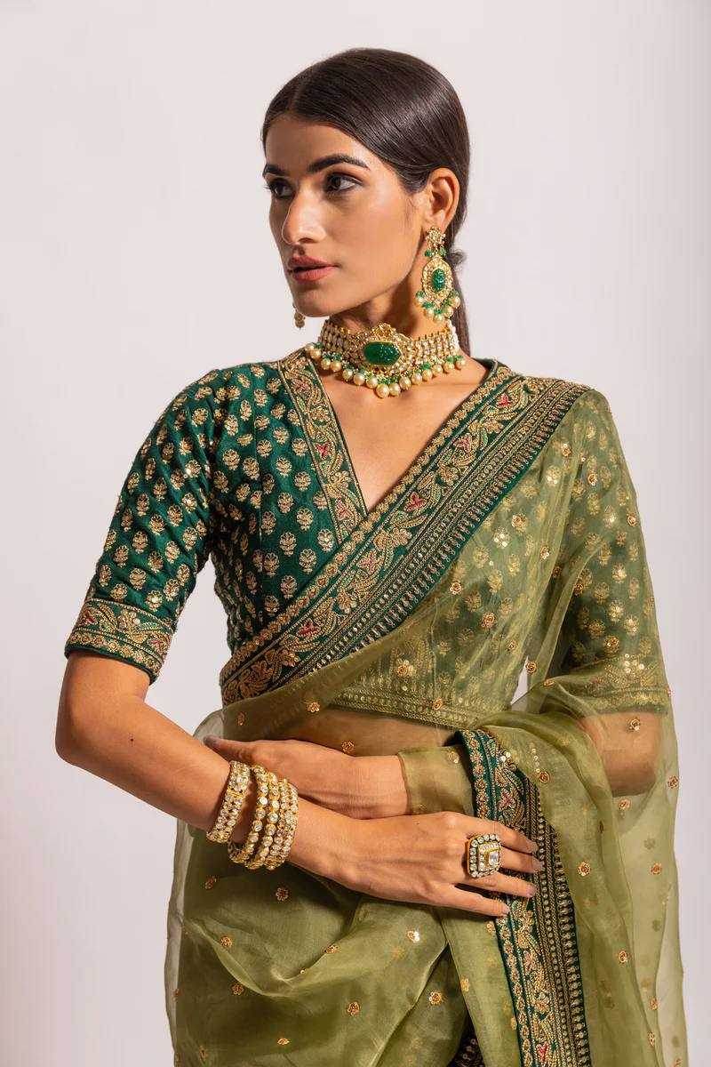 Organza Embroidered Saree - MYLUXURY LANE ENTERPRISE