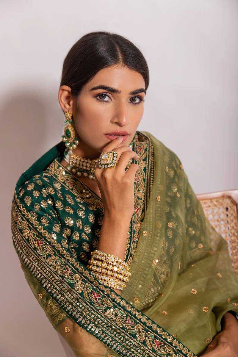 Organza  Embroidered Saree