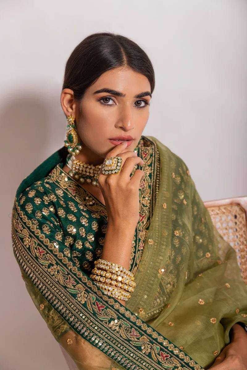 Organza Embroidered Saree - MYLUXURY LANE ENTERPRISE