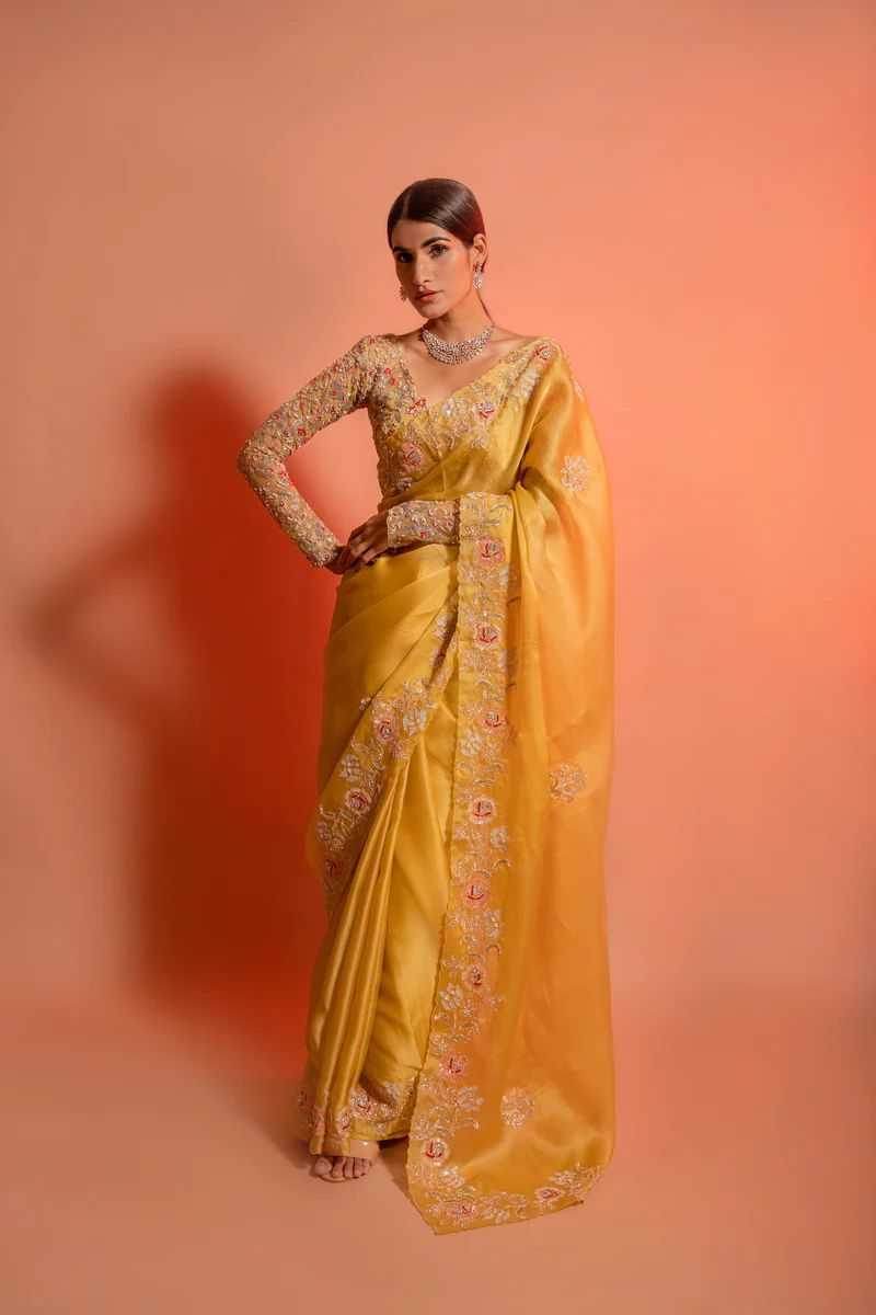 Organza Embroidered Saree - MYLUXURY LANE ENTERPRISE