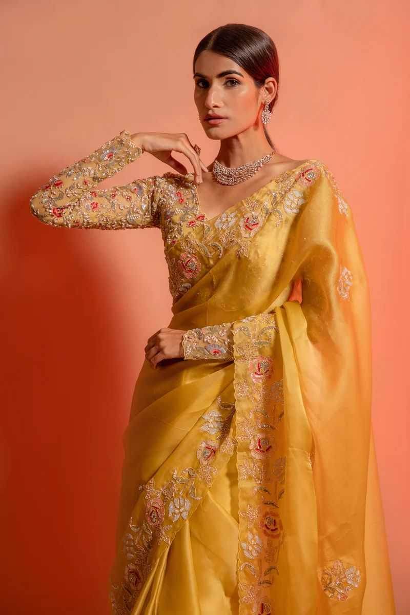 Organza Embroidered Saree - MYLUXURY LANE ENTERPRISE