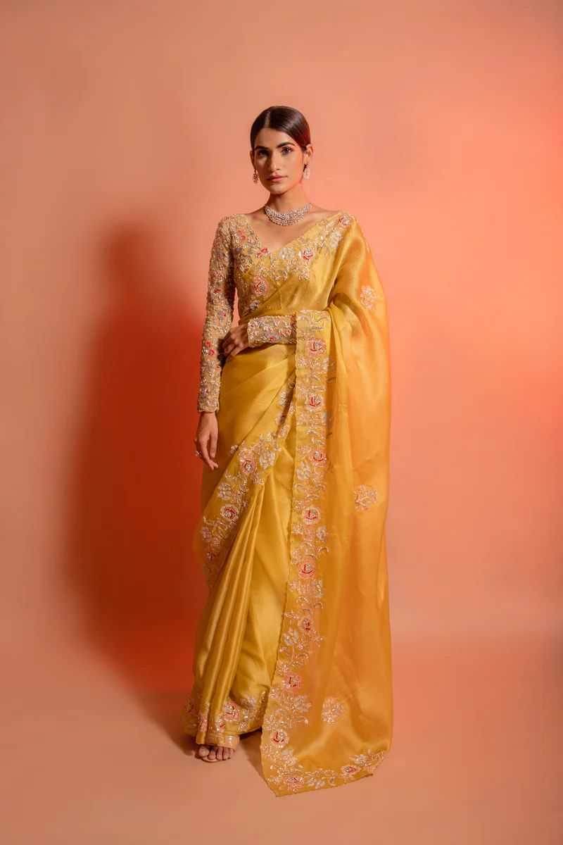 Organza Embroidered Saree - MYLUXURY LANE ENTERPRISE