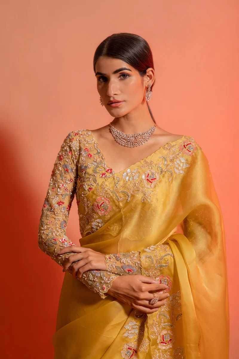 Organza Embroidered Saree - MYLUXURY LANE ENTERPRISE