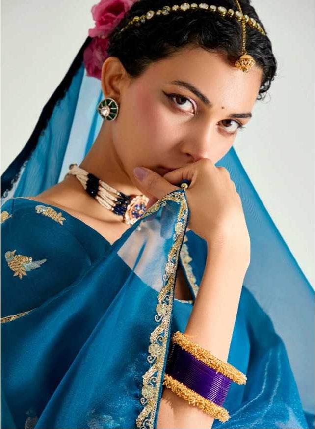 Organza Saree - MYLUXURY LANE ENTERPRISE