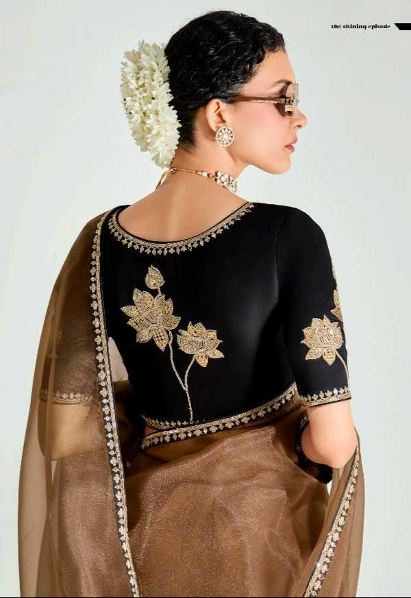 Woman wearing a black blouse with gold embroidery and a brown saree, standing against a white background.