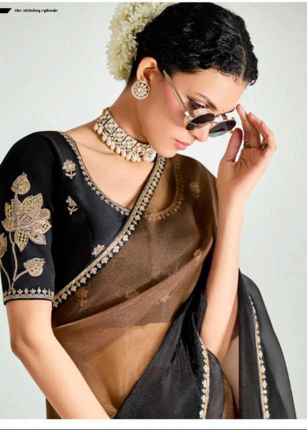 Woman wearing a black and brown saree with gold accents, posing against a white background.
