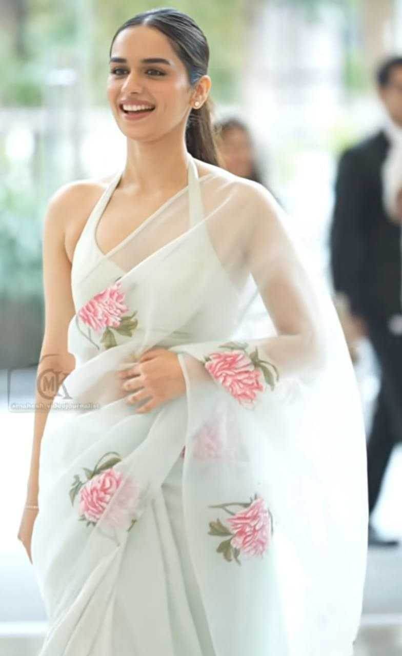 Organza Silk Saree - MYLUXURY LANE ENTERPRISE