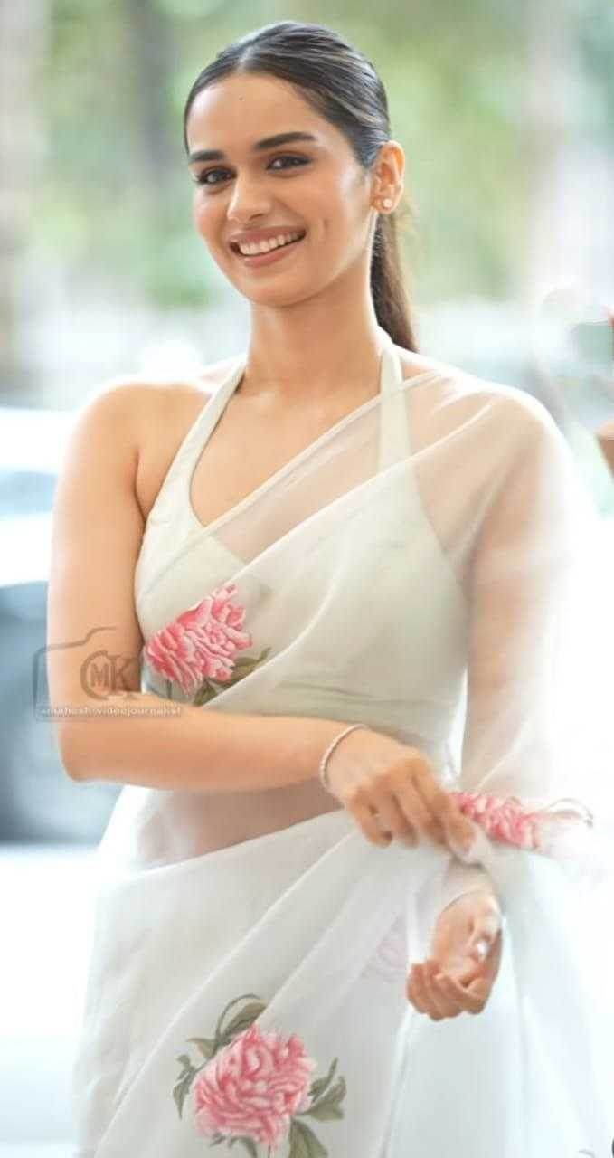 Organza Silk Saree - MYLUXURY LANE ENTERPRISE