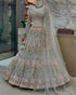 Soft Butterfly Net Embroidered Sequins Work Lehenga With Cancan - MYLUXURY LANE ENTERPRISE
