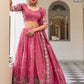 Embroidered Designer Lehenga Choli for Festive Elegance - MYLUXURY LANE ENTERPRISE