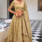 Embroidered Designer Lehenga Choli for Festive Elegance - MYLUXURY LANE ENTERPRISE