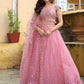 Soft Net Lehenga Choli - MYLUXURY LANE ENTERPRISE