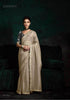 Tissue Embroidered Saree - MYLUXURY LANE ENTERPRISE