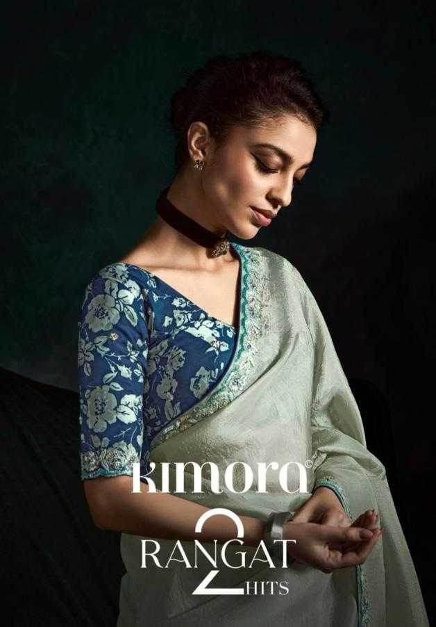 Tissue Embroidered Saree - MYLUXURY LANE ENTERPRISE