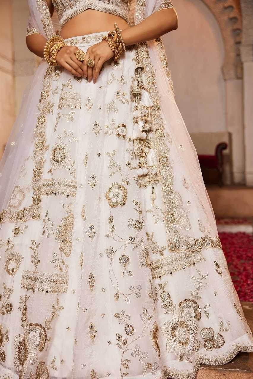 Tissue Embroidered Lehenga - MYLUXURY LANE ENTERPRISE