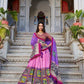 Kalamkari Lehenga Rajwada Lehenga for Festive Elegance - MYLUXURY LANE ENTERPRISE