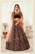 Elegant Traditional Net Lehenga for Festive Occasions - MYLUXURY LANE ENTERPRISE
