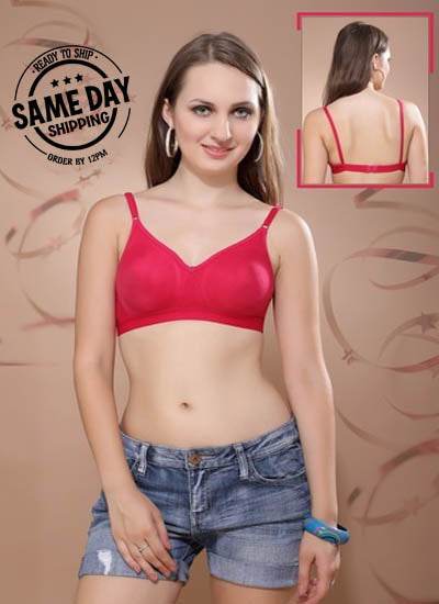 2 Pack Comfy padded non wired t shirt bra - MYLUXURY LANE ENTERPRISE